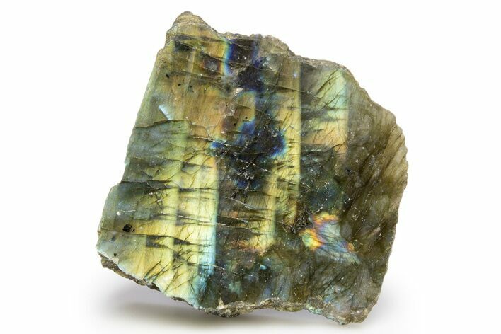 Single Side Polished Labradorite Section - Madagascar #324648